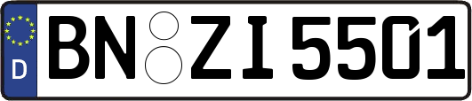 BN-ZI5501