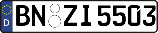 BN-ZI5503