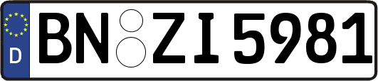 BN-ZI5981