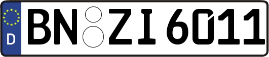 BN-ZI6011
