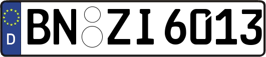 BN-ZI6013