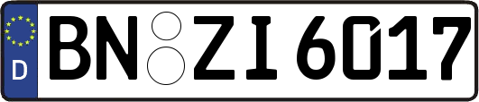 BN-ZI6017