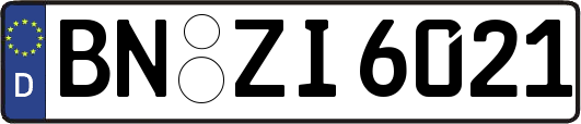 BN-ZI6021