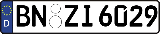 BN-ZI6029