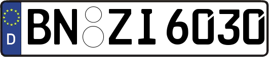 BN-ZI6030