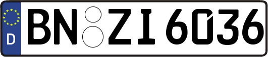 BN-ZI6036