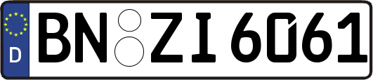 BN-ZI6061