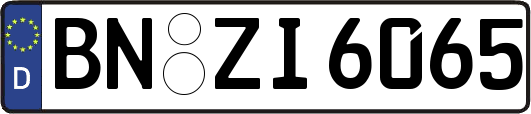 BN-ZI6065