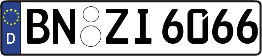 BN-ZI6066