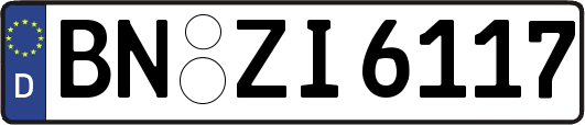 BN-ZI6117