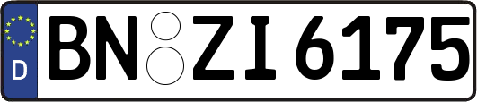 BN-ZI6175
