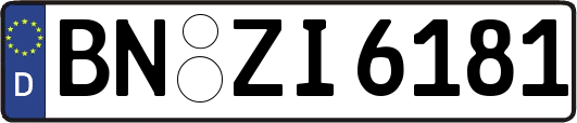 BN-ZI6181