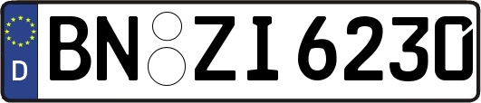 BN-ZI6230