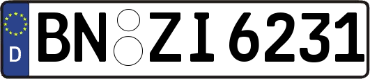 BN-ZI6231