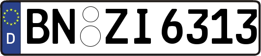 BN-ZI6313