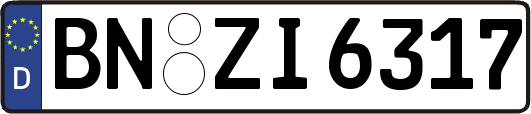BN-ZI6317