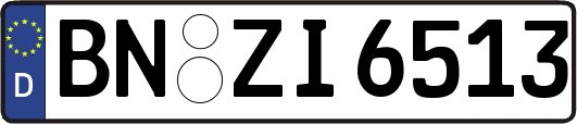 BN-ZI6513