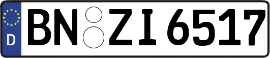 BN-ZI6517
