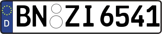 BN-ZI6541