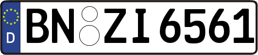 BN-ZI6561
