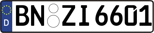 BN-ZI6601