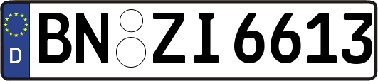 BN-ZI6613