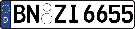 BN-ZI6655
