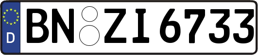 BN-ZI6733