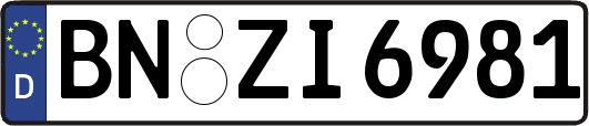 BN-ZI6981