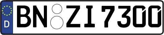 BN-ZI7300