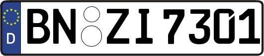 BN-ZI7301