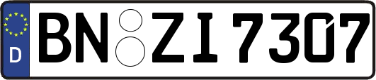 BN-ZI7307