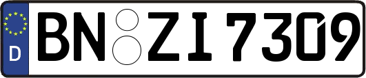 BN-ZI7309