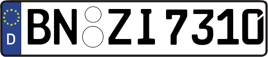 BN-ZI7310