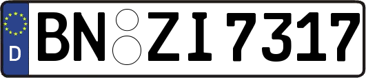 BN-ZI7317