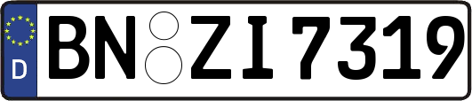 BN-ZI7319
