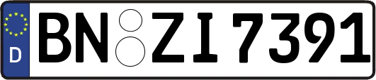 BN-ZI7391