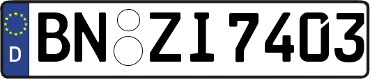 BN-ZI7403