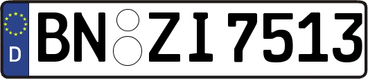 BN-ZI7513