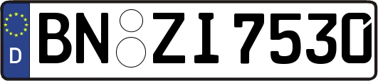 BN-ZI7530