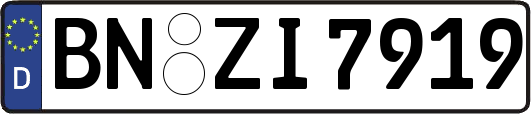 BN-ZI7919