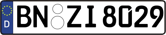 BN-ZI8029