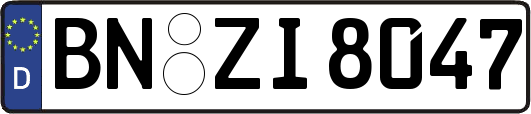 BN-ZI8047