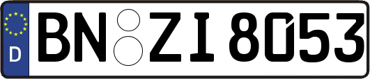 BN-ZI8053