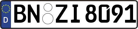 BN-ZI8091