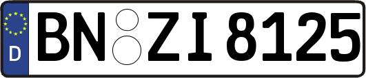 BN-ZI8125