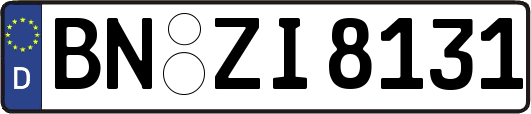 BN-ZI8131