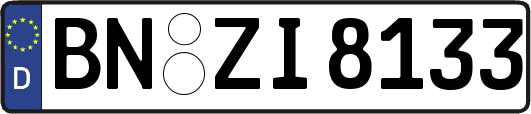 BN-ZI8133