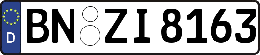 BN-ZI8163