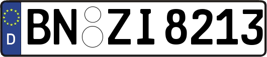 BN-ZI8213